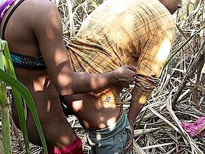 Indian Shemale - Two truck drivers and Shemale Pooja went to the Early this morning, sugarcane field Hard Fucking.