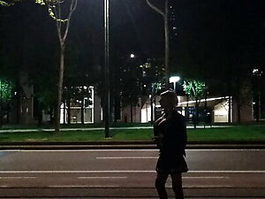 Brussels. Hookertime. amongst trans whores on King Albert 2 Ave. larissa1sexdoll. trying to earn few euro for petrol